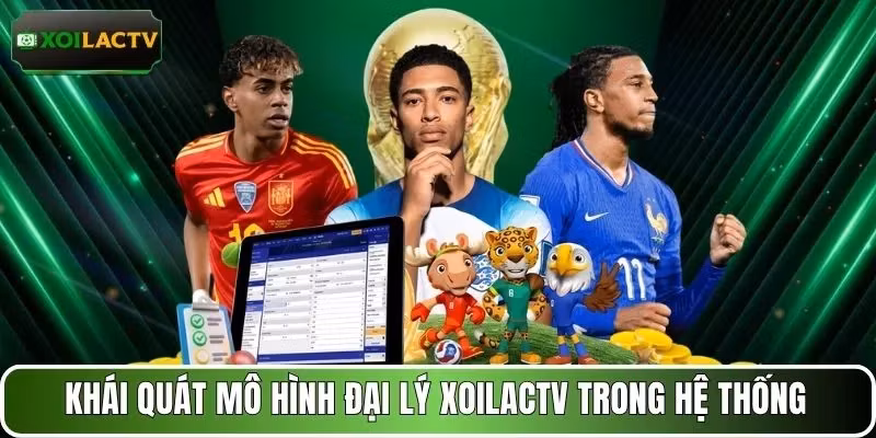 Khái quát mô hình đại lý XOILACTV trong hệ thống 